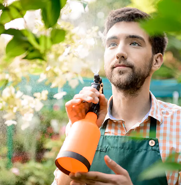 Why Novi Homeowners Call Novi Pest Control Pro for Mosquitoes in House?