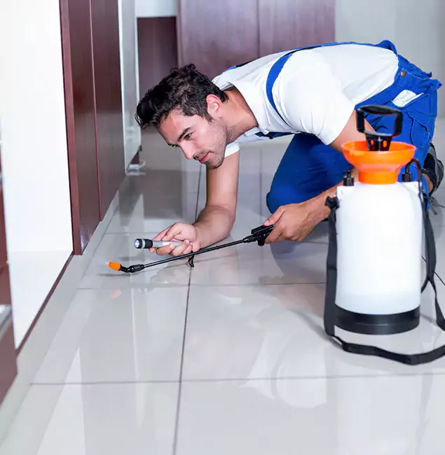 Why Novi Pest Control Pro Is the Proven Choice in Novi, MI?