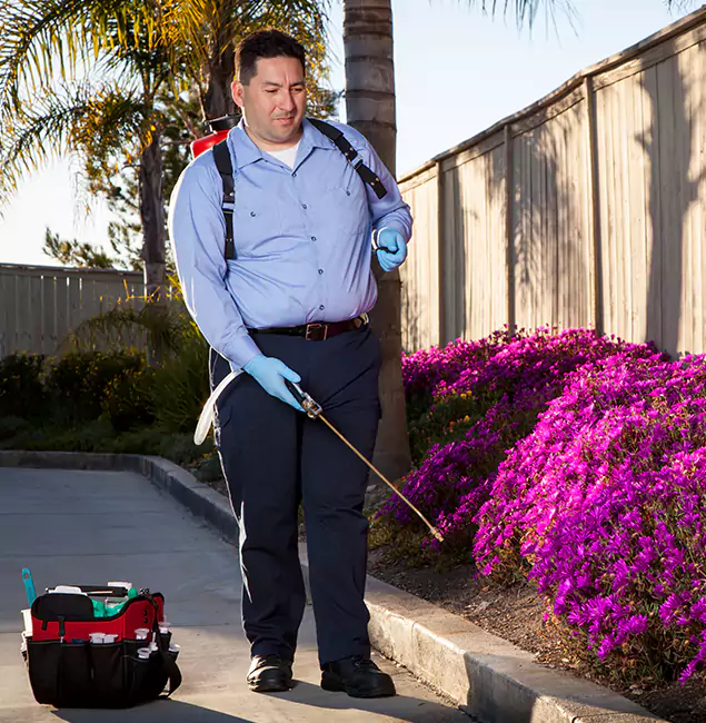 Why Choose Novi Pest Control Pro in Novi, MI?