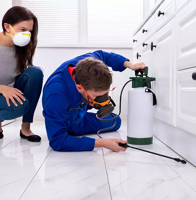 Why Choose Novi Pest Control Pro in Novi, MI?