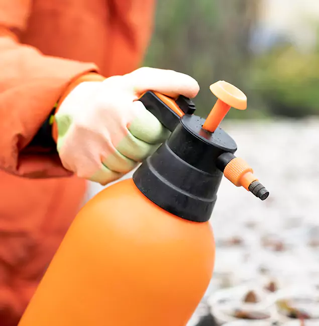 Why Choose Novi Pest Control Pro for Orange Termite Treatment in Novi, MI?