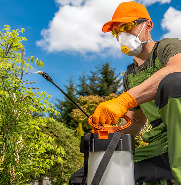 Why Choose Novi Pest Control Pro for Outdoor Pest Control in Novi, MI?