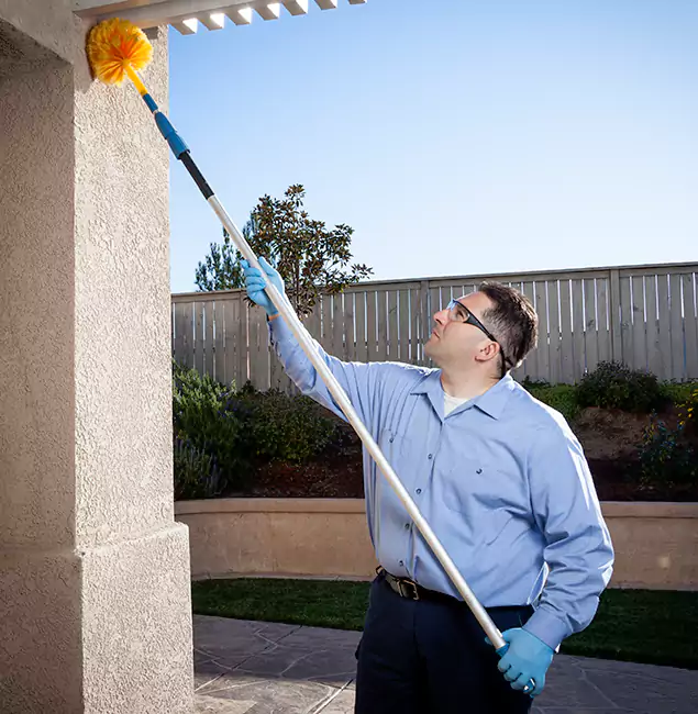 Why Choose Novi Pest Control Pro for Pest Control Services in Novi, MI?