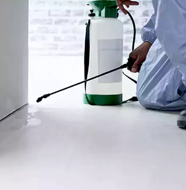 Why Choose Novi Pest Control Pro for Rat Exterminator in Novi, MI?
