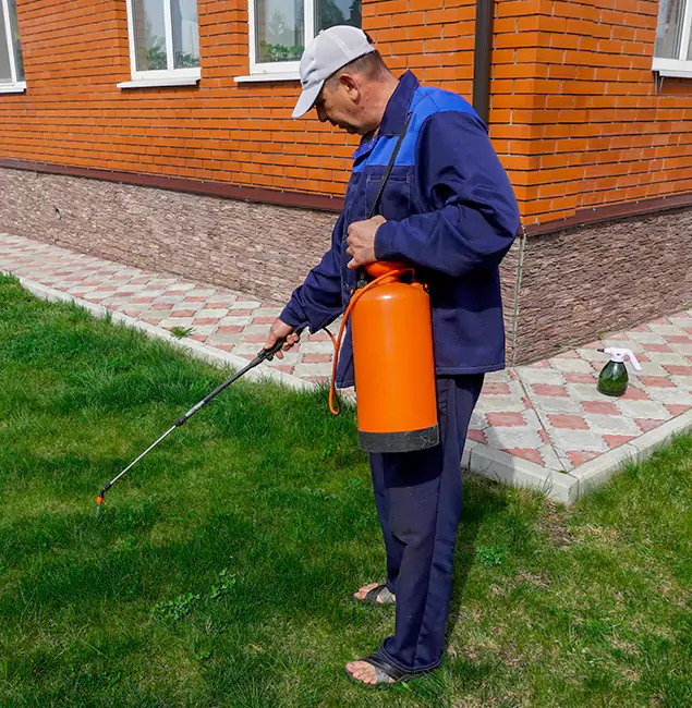 Why Choose Novi Pest Control Pro for Residential Pest Control in Novi, MI?
