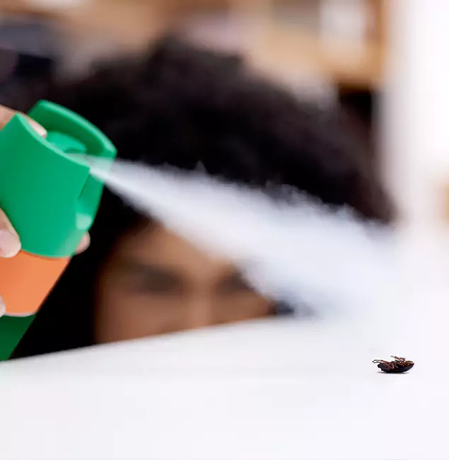 Why Novi, MI Homeowners Choose Novi Pest Control Pro for Roach Pest Control?