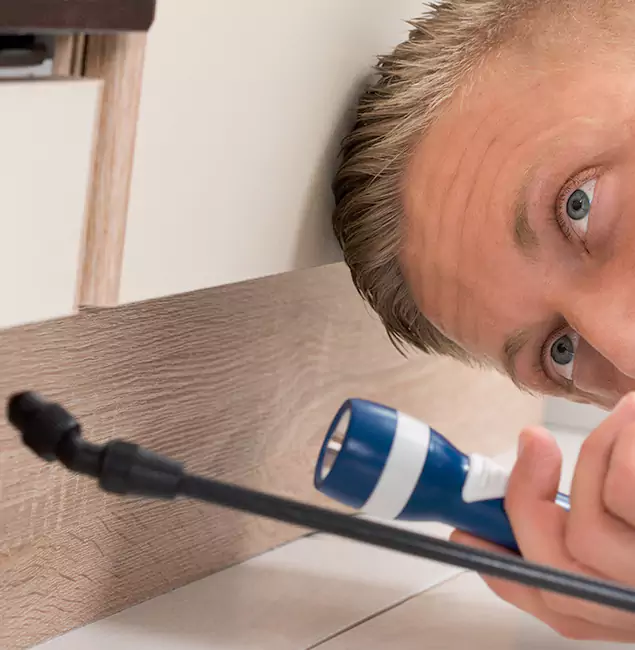 Why Choose Novi Pest Control Pro for Rodent Exterminator in Novi, MI?