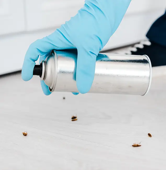 Why Choose Novi Pest Control Pro for Safe Bed Bug Treatment in Novi, MI?