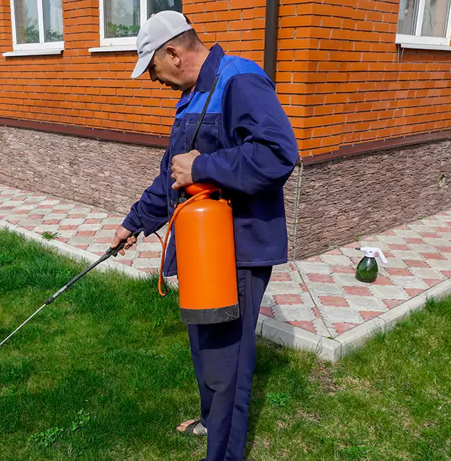 Why Choose Novi Pest Control Pro for Soil Treatment in Novi, MI?