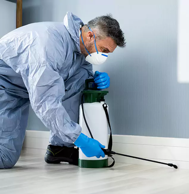 Why Choose Novi Pest Control Pro for Subterranean Termites Treatment in Novi, MI?