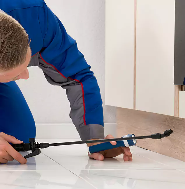 Why Novi Residents Choose Novi Pest Control Pro to Get Rid of Sugar Ants?