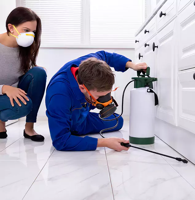 Why Choose Novi Pest Control Pro for Termite Inspection Cost in Novi, MI?