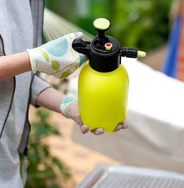 Why Choose Us: Novi Pest Control Pro Termite Spraying Experts in Novi, MI?