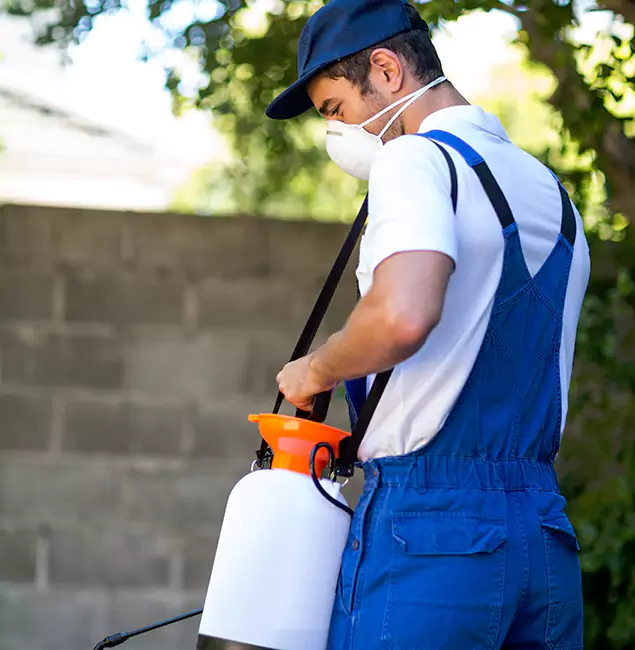 Why Novi Pest Control Pro Is the Right Choice for Yellow Jacket Removal in Novi, MI?