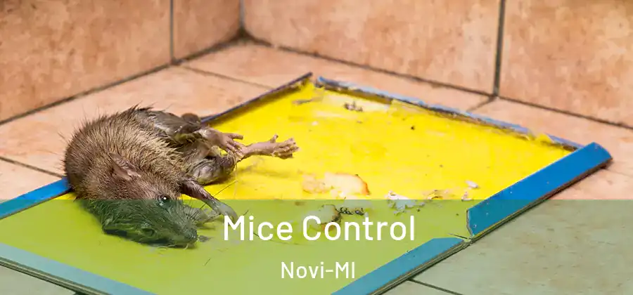 Mice Control Novi-MI