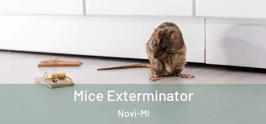 Mice Exterminator Novi-MI