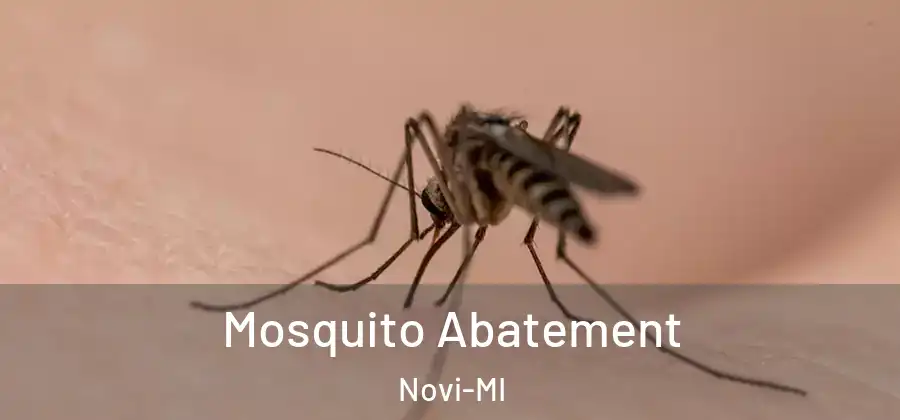 Mosquito Abatement Novi-MI