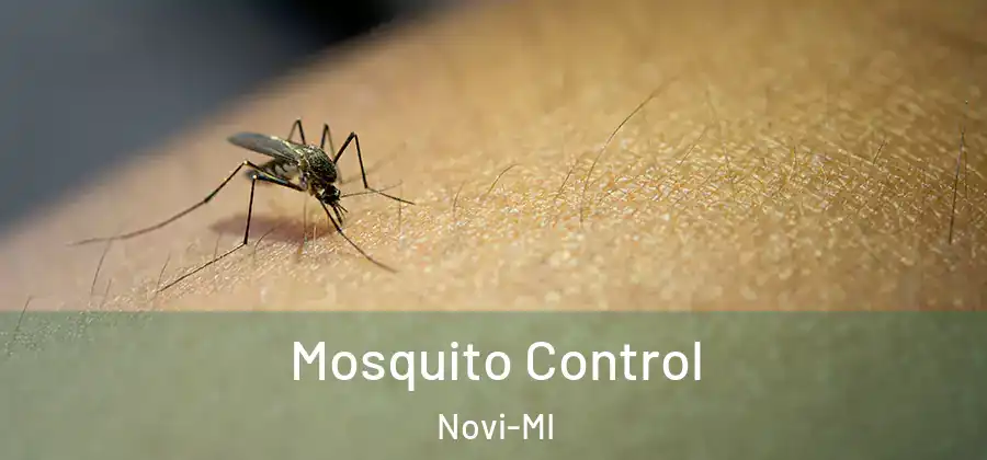 Mosquito Control Novi-MI