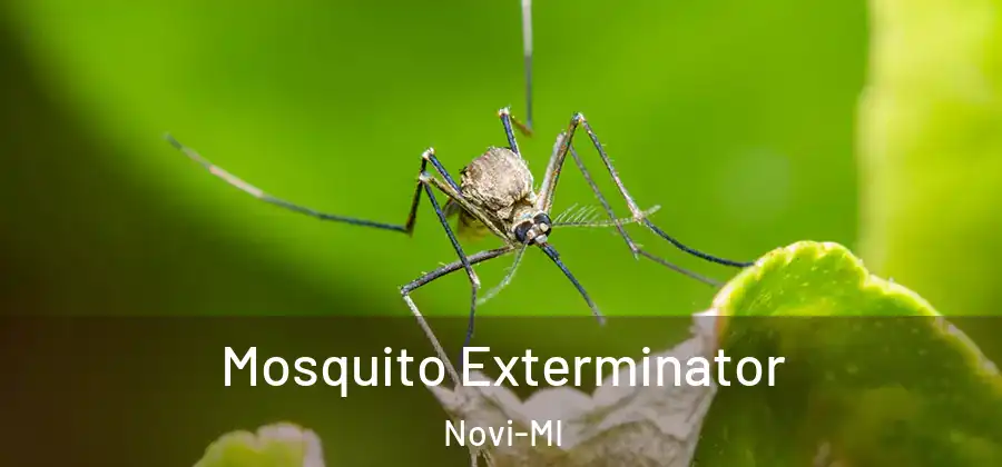 Mosquito Exterminator Novi-MI