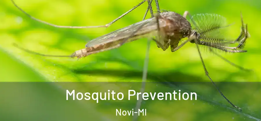 Mosquito Prevention Novi-MI