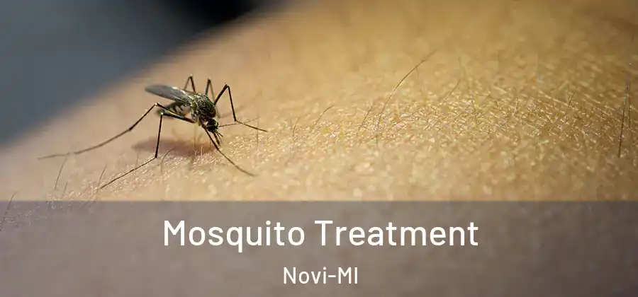 Mosquito Treatment Novi-MI
