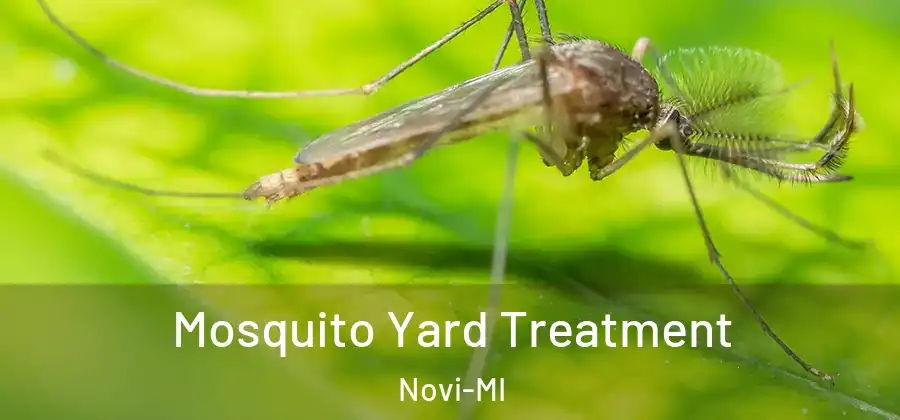 Mosquito Yard Treatment Novi-MI
