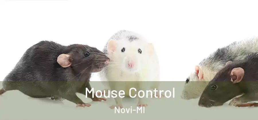 Mouse Control Novi-MI