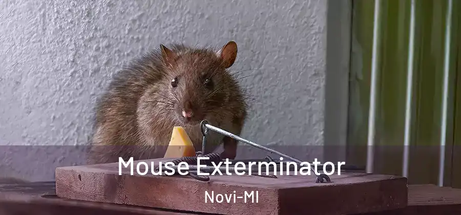 Mouse Exterminator Novi-MI