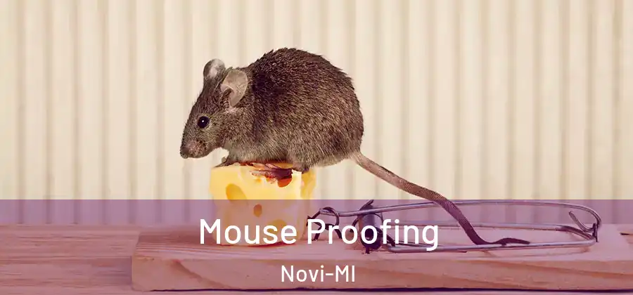 Mouse Proofing Novi-MI