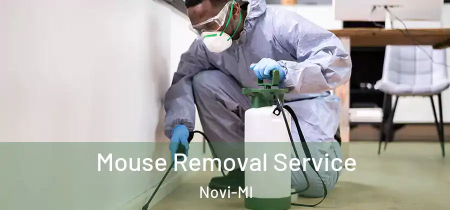 Mouse Removal Service Novi-MI