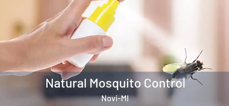 Natural Mosquito Control Novi-MI