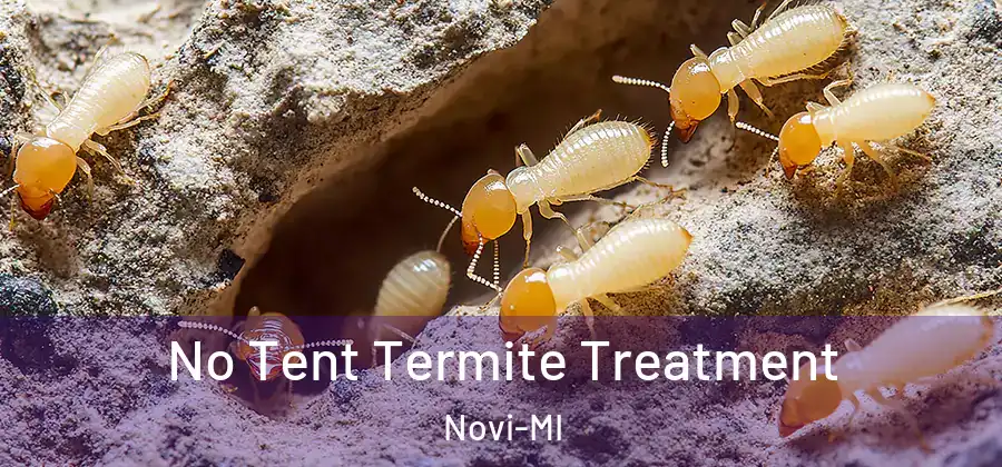 No Tent Termite Treatment Novi-MI