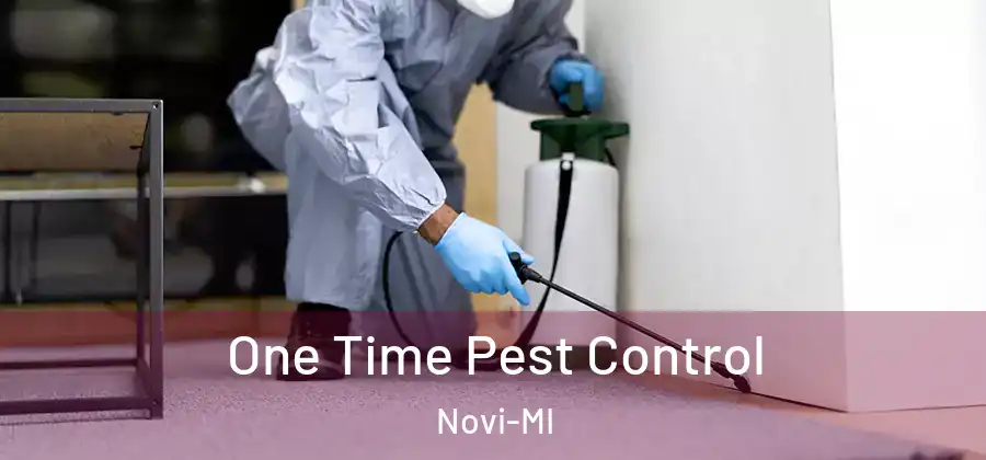 One Time Pest Control Novi-MI