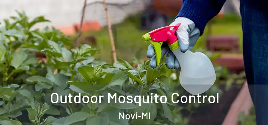 Outdoor Mosquito Control Novi-MI