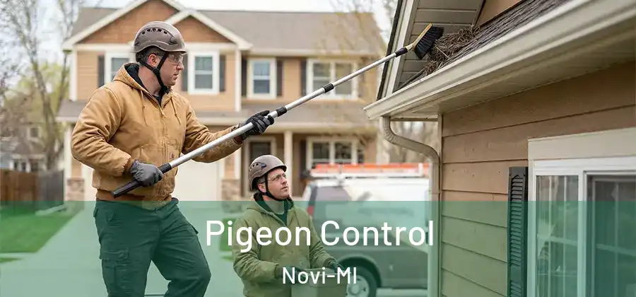 Pigeon Control Novi-MI