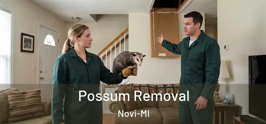 Possum Removal Novi-MI