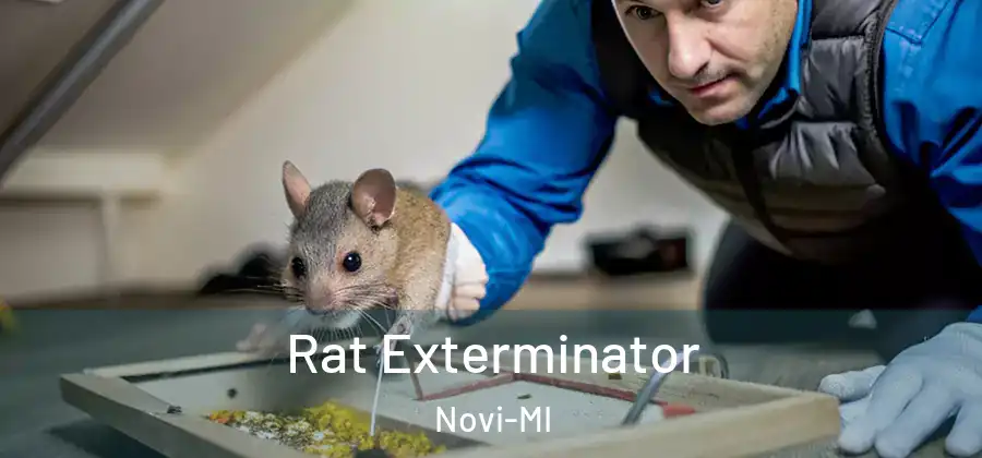 Rat Exterminator Novi-MI