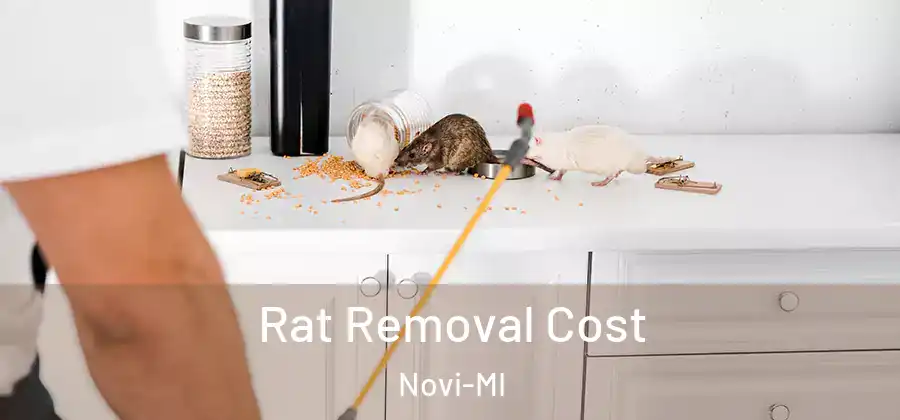 Rat Removal Cost Novi-MI