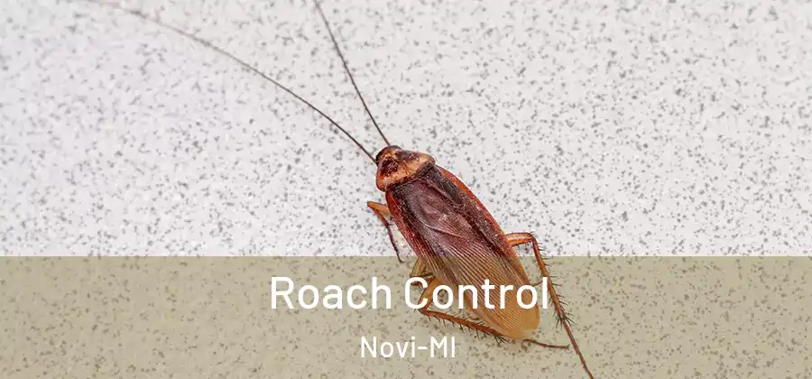 Roach Control Novi-MI