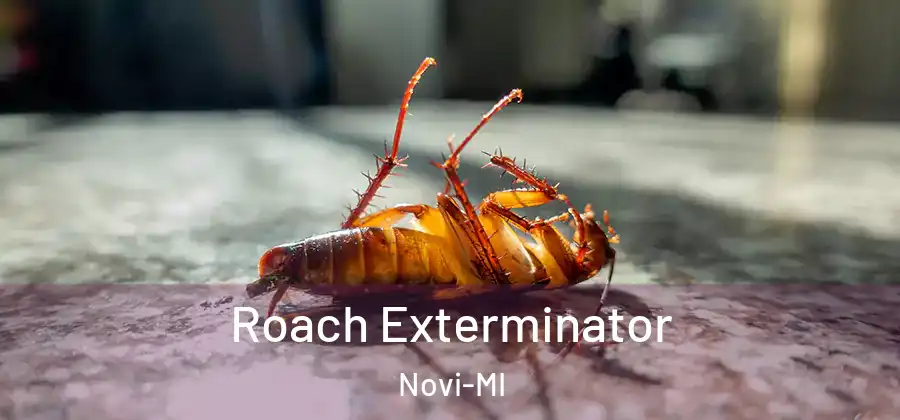 Roach Exterminator Novi-MI