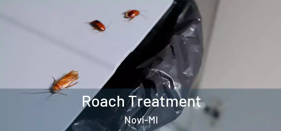 Roach Treatment Novi-MI