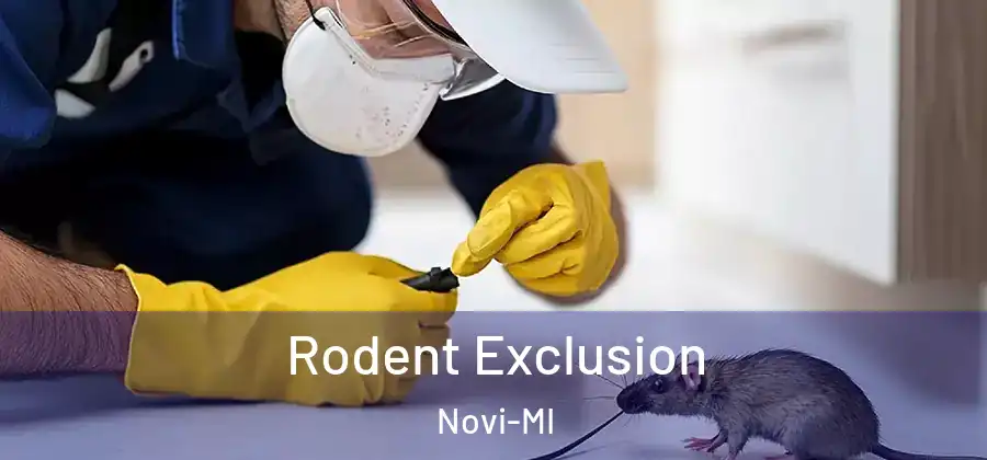 Rodent Exclusion Novi-MI