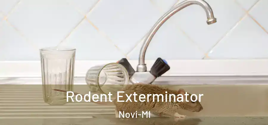 Rodent Exterminator Novi-MI