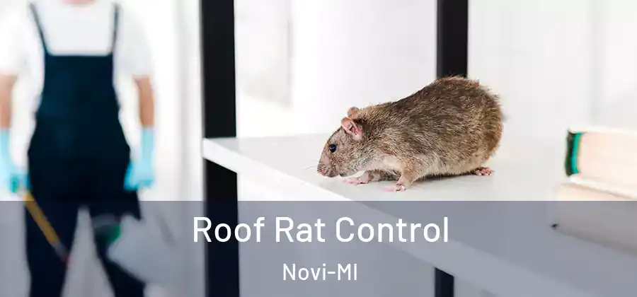  Roof Rat Control Novi-MI
