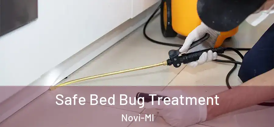 Safe Bed Bug Treatment Novi-MI