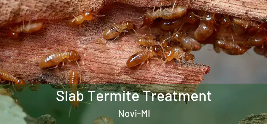 Slab Termite Treatment Novi-MI