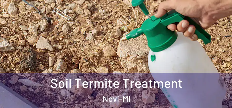 Soil Termite Treatment Novi-MI
