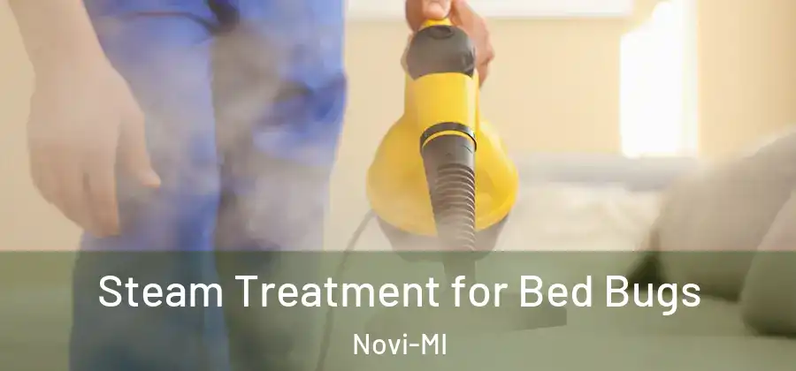 Steam Treatment for Bed Bugs Novi-MI