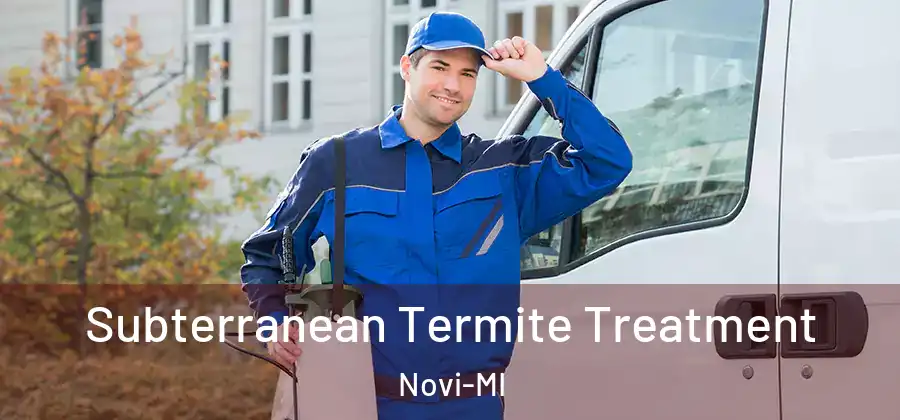 Subterranean Termite Treatment Novi-MI