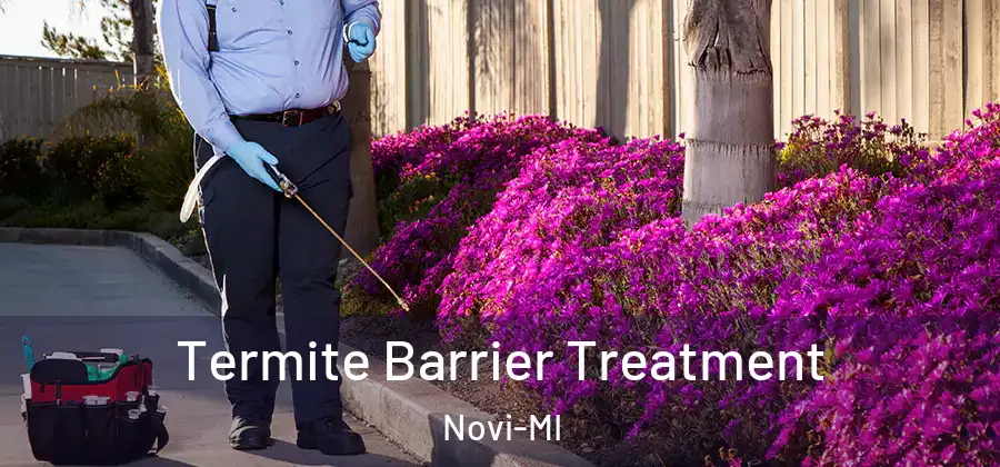 Termite Barrier Treatment Novi-MI